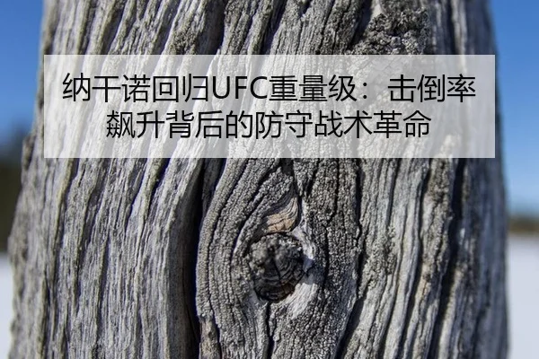 纳干诺回归UFC重量级：击倒率飙升背后的防守战术革命