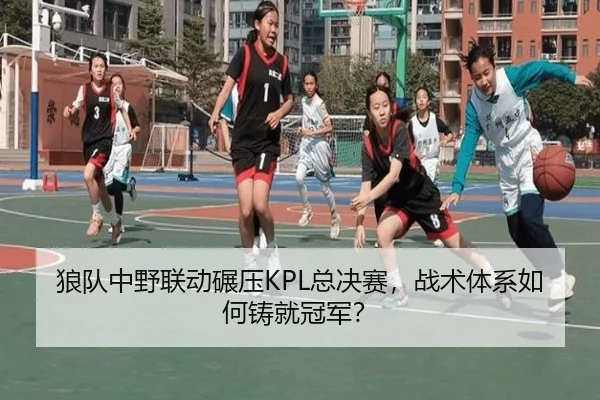 狼队中野联动碾压KPL总决赛，战术体系如何铸就冠军？