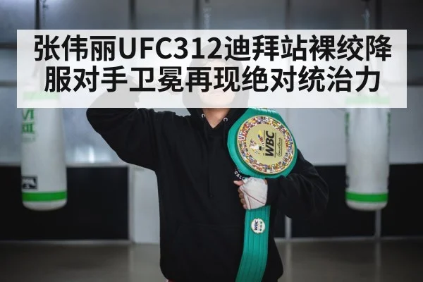 UFC championship belt